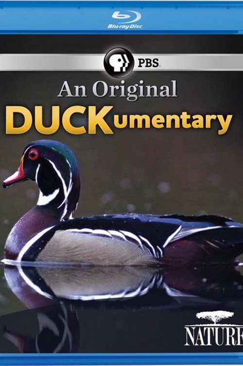 Постер PBS Nature - An Original DUCKumentary
